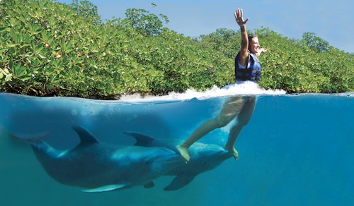 Xcaret Dolphin Tour Plus with Dolphin Swim