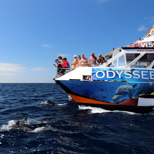 Morro Jable: Glass-Bottom Boat Tour + Lunch - Photo 3