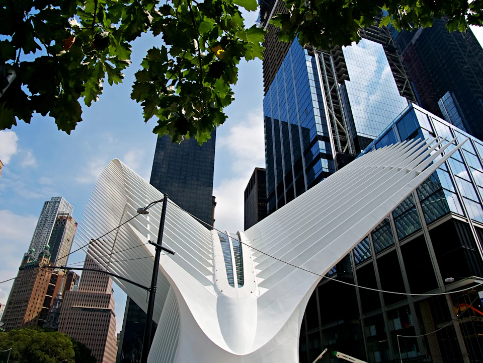 White, wing-shaped structure of the Oculus surrounded by tall modern buildings, with green tree leaves above.