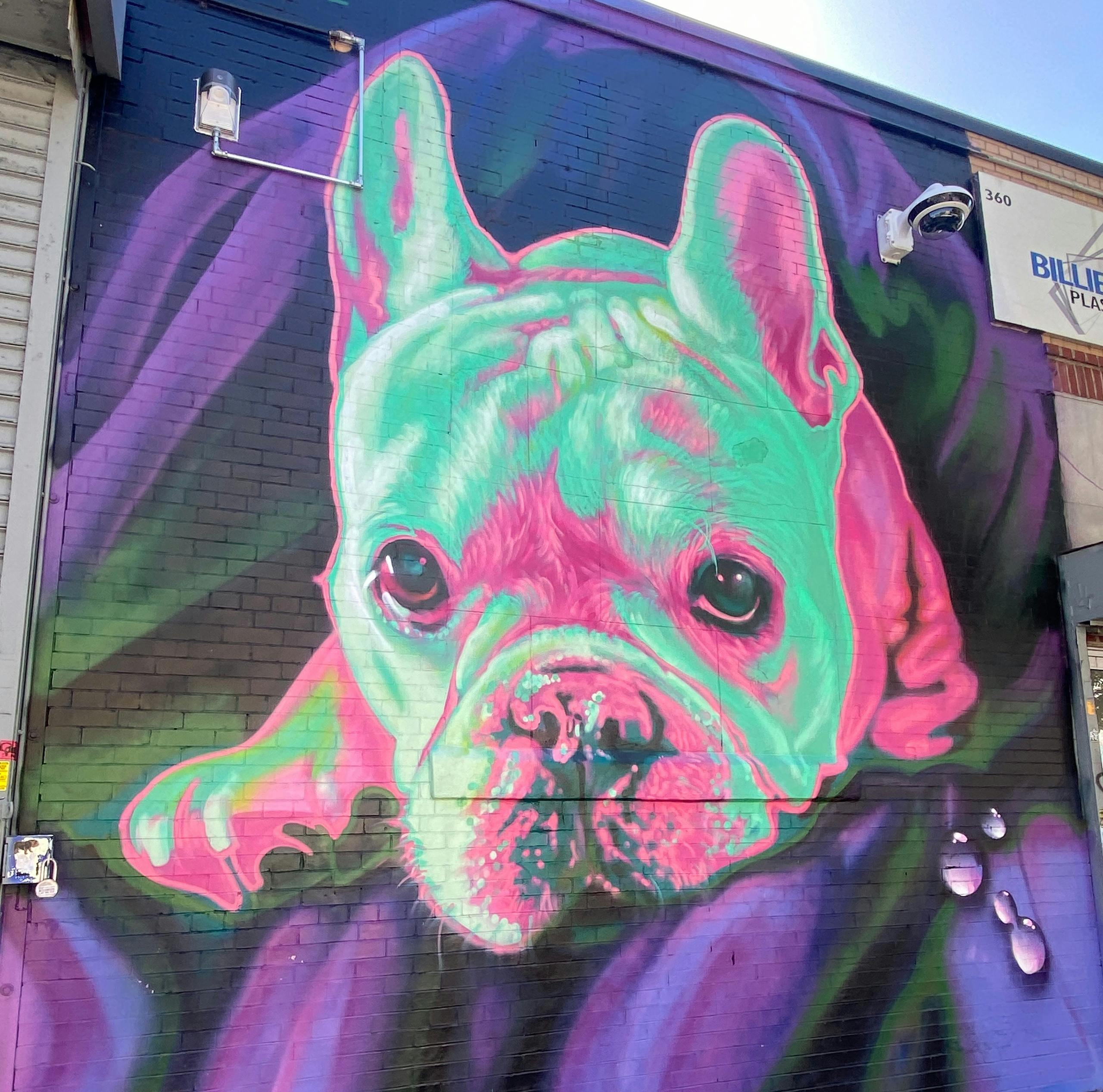 Passeio de Graffiti em Bushwick - Photo 2