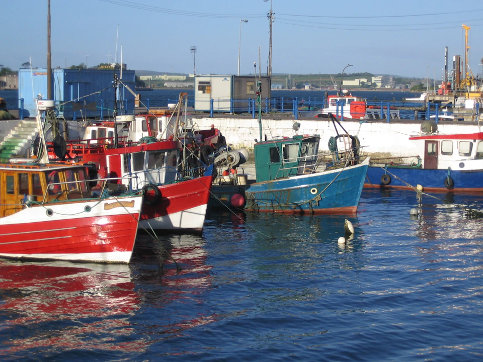 Colorful fishing boats docked in a marina, with buildings and a clear sky in the background.