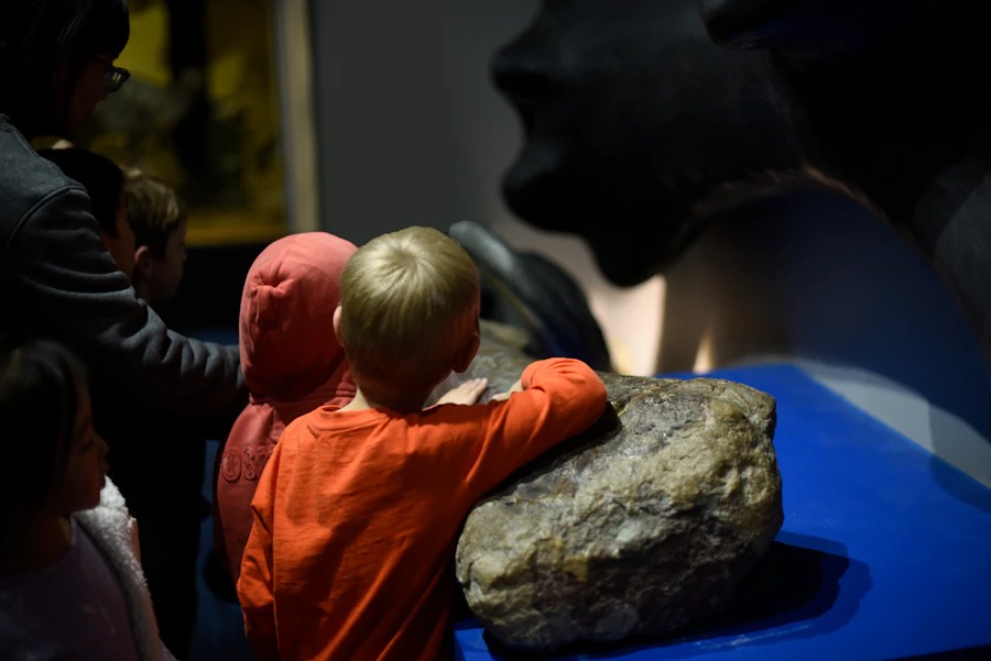 Nicholls National Dinosaur Museum Tickets - Hellotickets