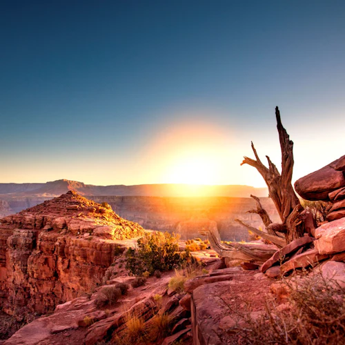 Grand Canyon West: All Access Pass - Photo 23