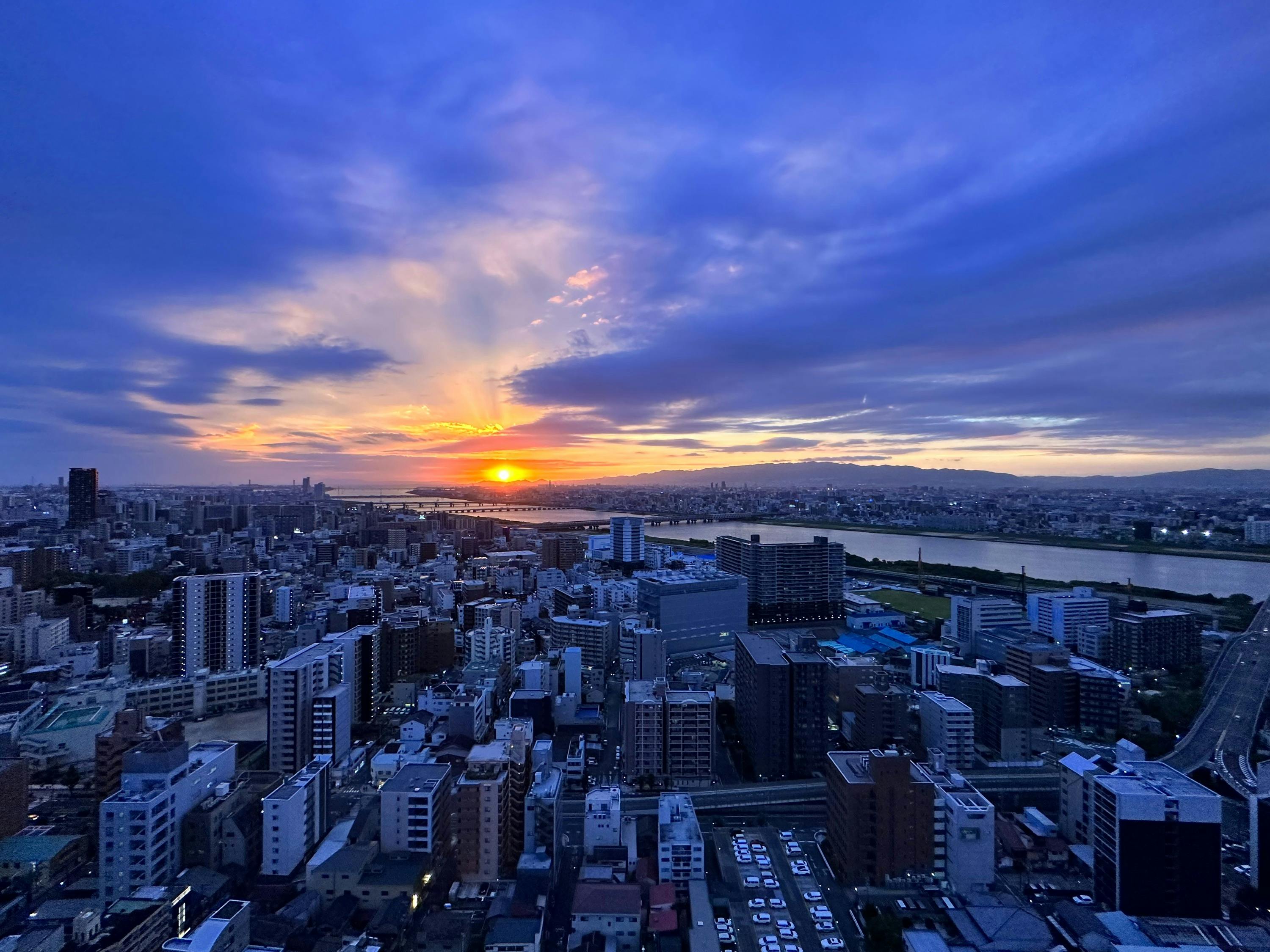 Koji Kinutani Tenku Art Museum Osaka: Admission Ticket + Sky Garden Access - Photo 4