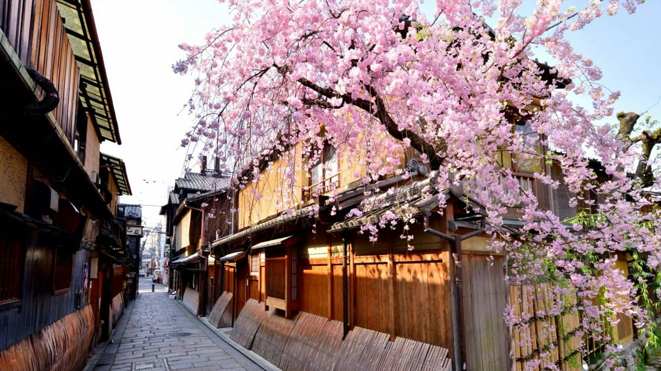 Kyoto: Gion Hidden Gems & Geisha Culture Tour - Photo 3