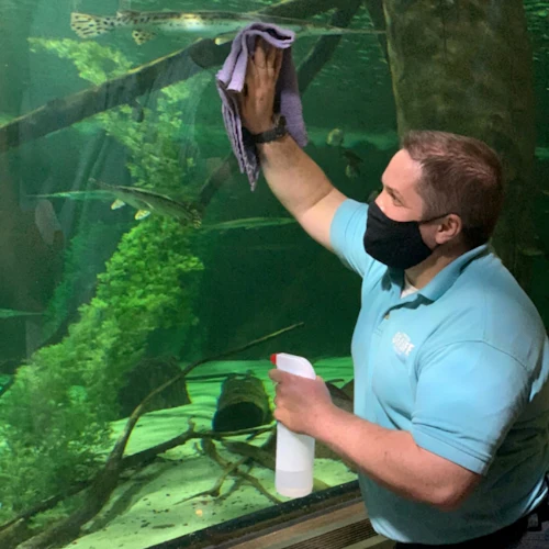 SEA LIFE Kansas City: bilhete de entrada - Photo 5