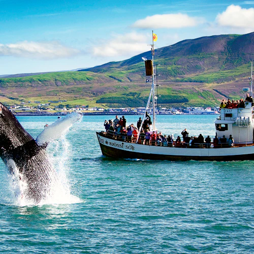 Reykjavik: Northern Lights Boat Tour