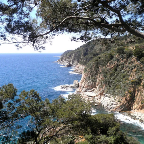 Costa Brava: Guided Day Tour from Barcelona - Photo 8