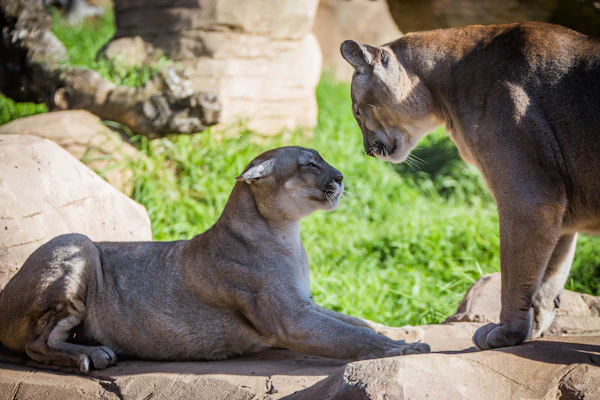 Rancho Texas Lanzarote Park Tickets