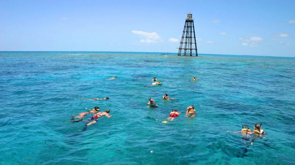 People snorkeling in clear blue water, with a tall, metal lighthouse structure in the background under a clear blue sky.