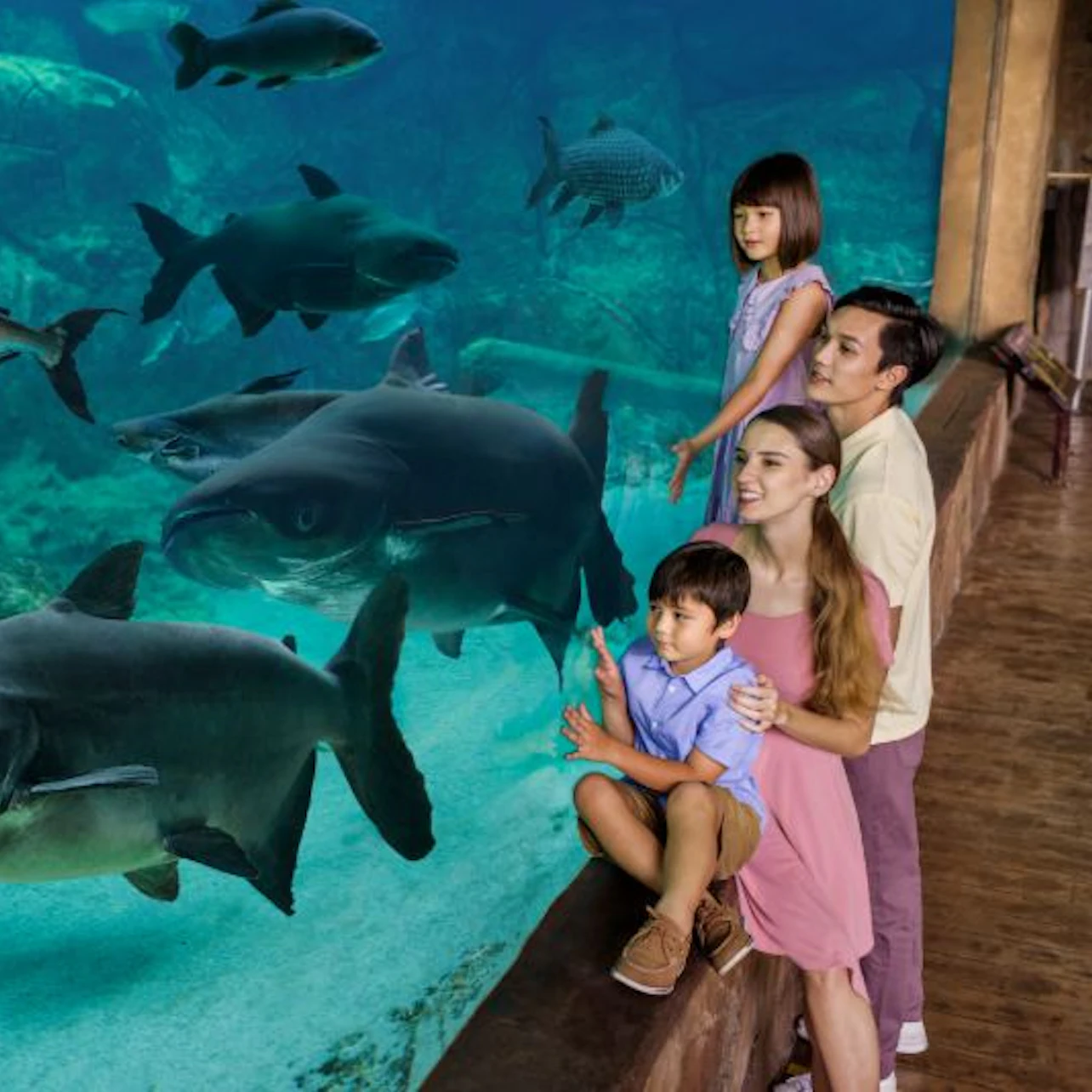 Singapore River Wonders: Entry Ticket in Singapore β Tiqets