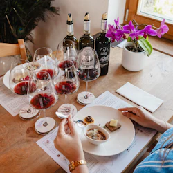 gourmet wine and food tasting brunello
