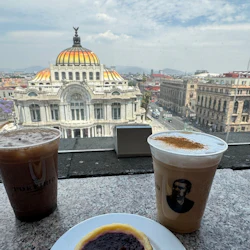 Palacio de Bellas Artes: Entry Ticket + Guided Tour 3