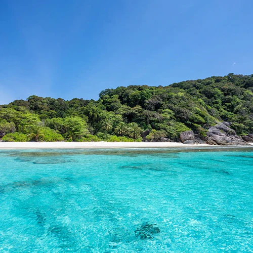 Ilhas Similan: Excursão de mergulho com snorkel saindo de Phuket em lancha rápida - Photo 11