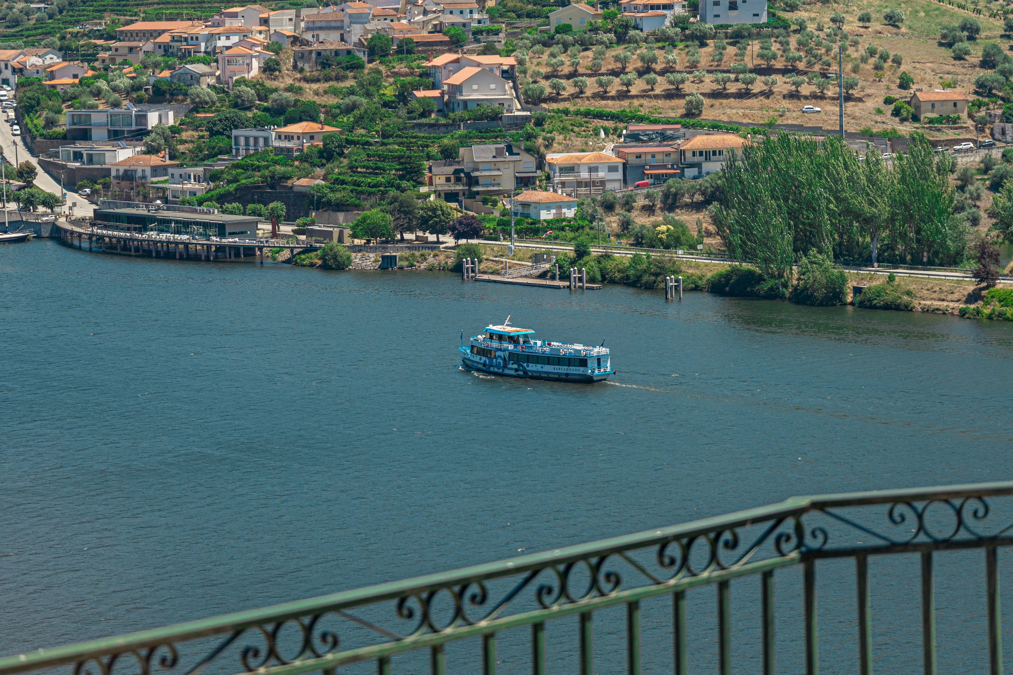 Douro Valley: Cruise + Lunch from Régua
