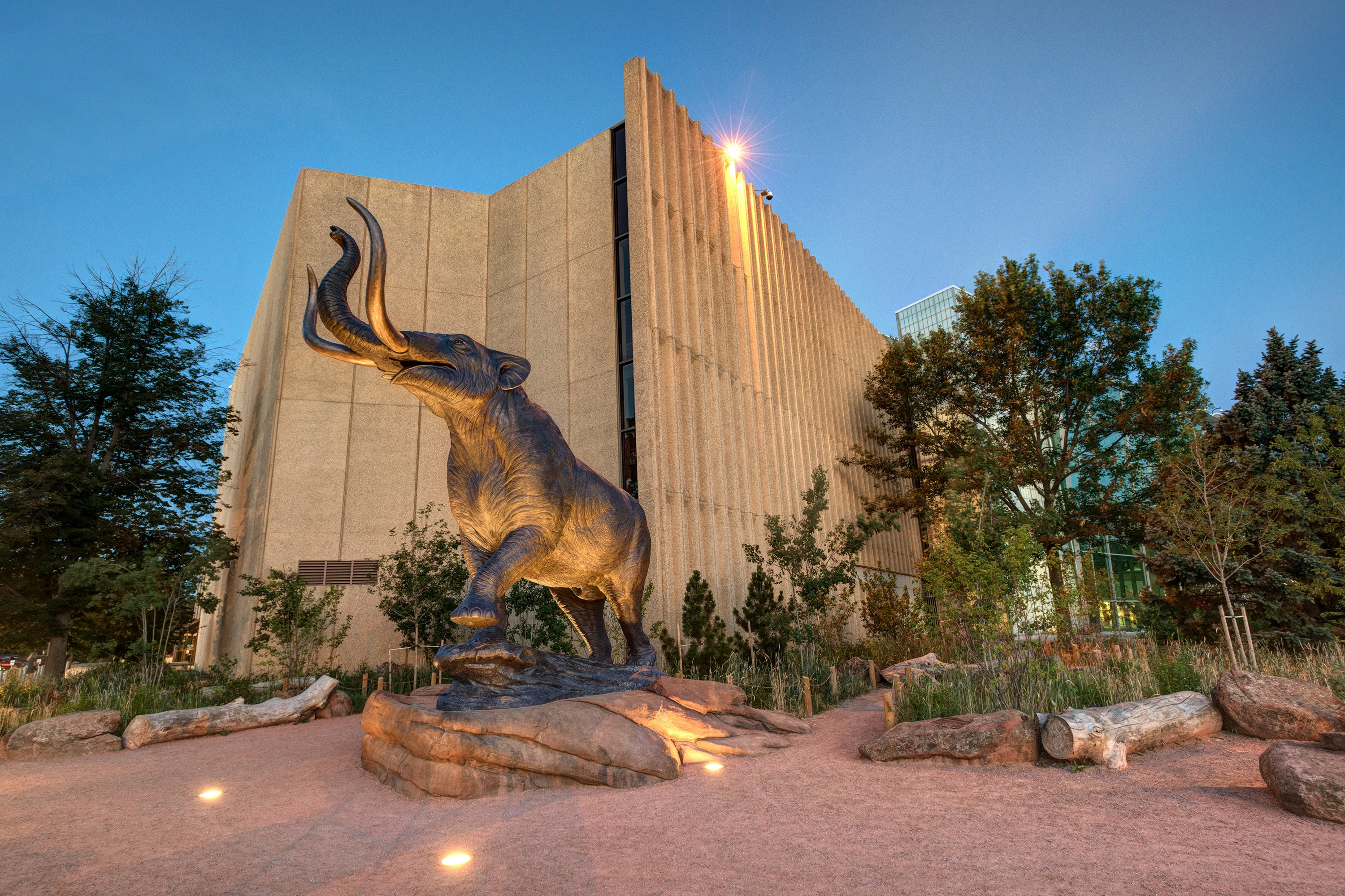 Museu de Natureza e Ciência de Denver: bilhete de entrada