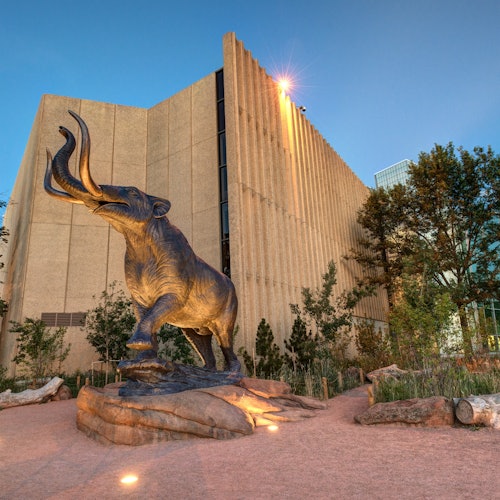 Museo de Naturaleza y Ciencia de Denver: Entrada