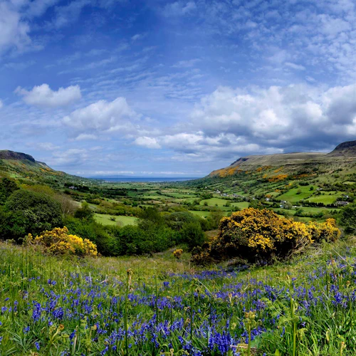 Giant's Causeway e Belfast City: Viagem de um dia saindo de Dublin - Photo 8
