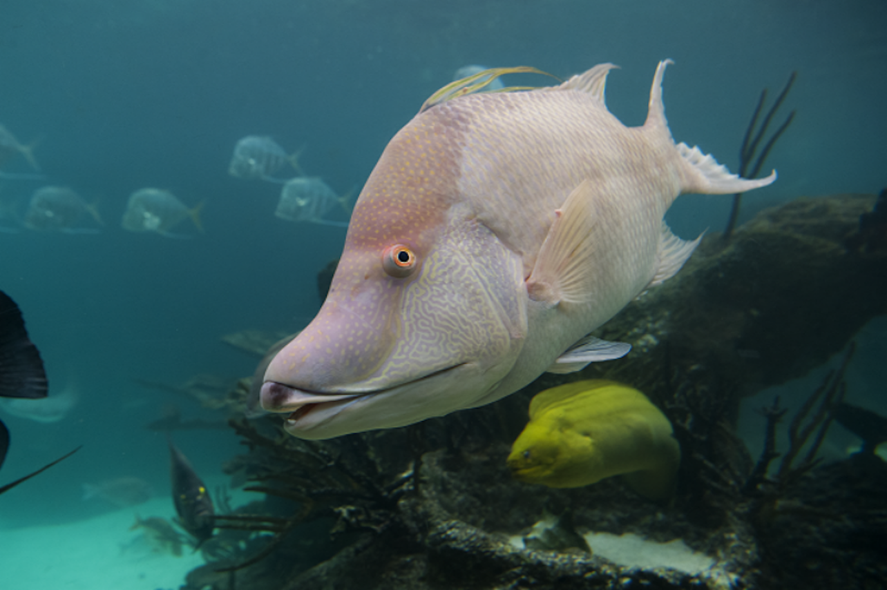 New York Aquarium: Entry Ticket - Accommodations in New York