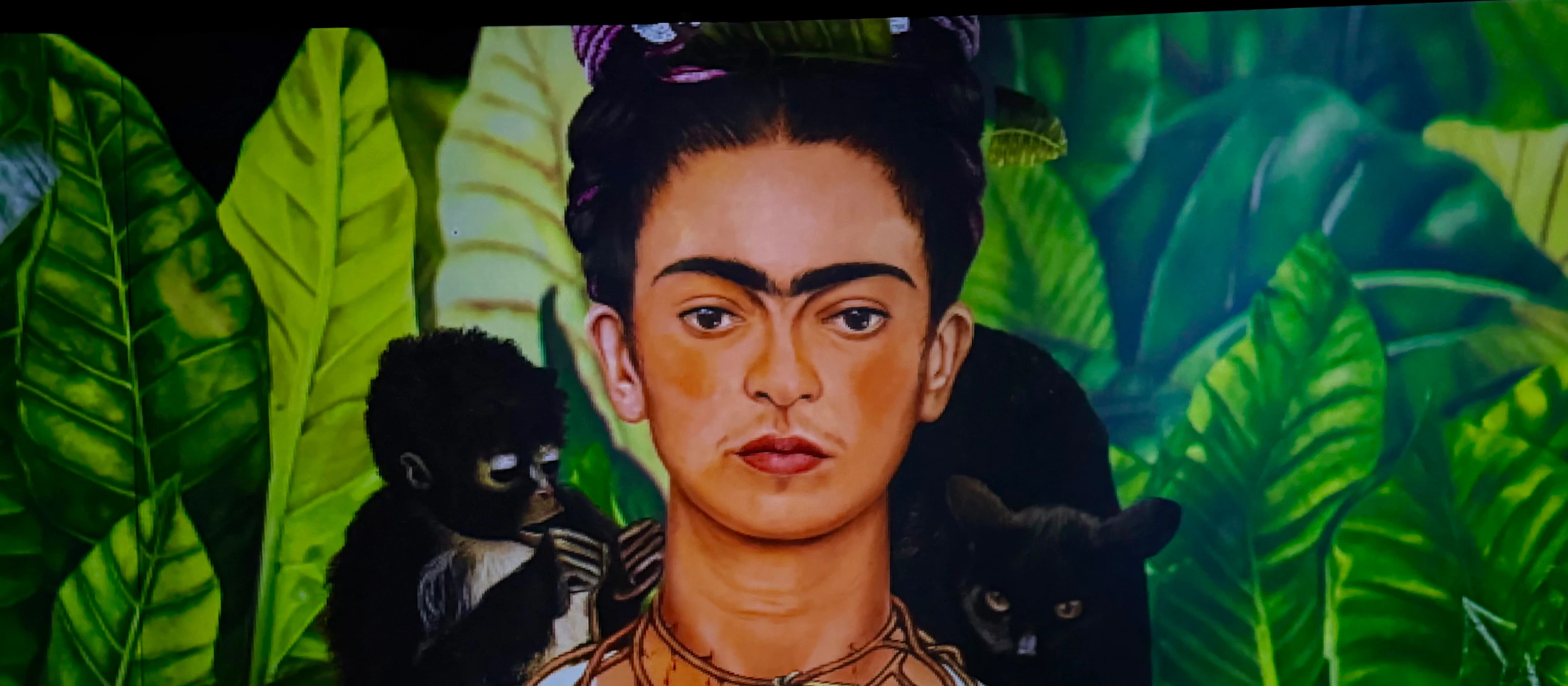 Tentoonstelling Frida Kahlo Amsterdam: VR Ervaring
