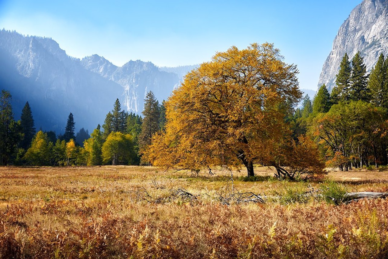 From San Francisco: 1-Day Yosemite and Giant Sequoia Tour - Accommodations in San Francisco