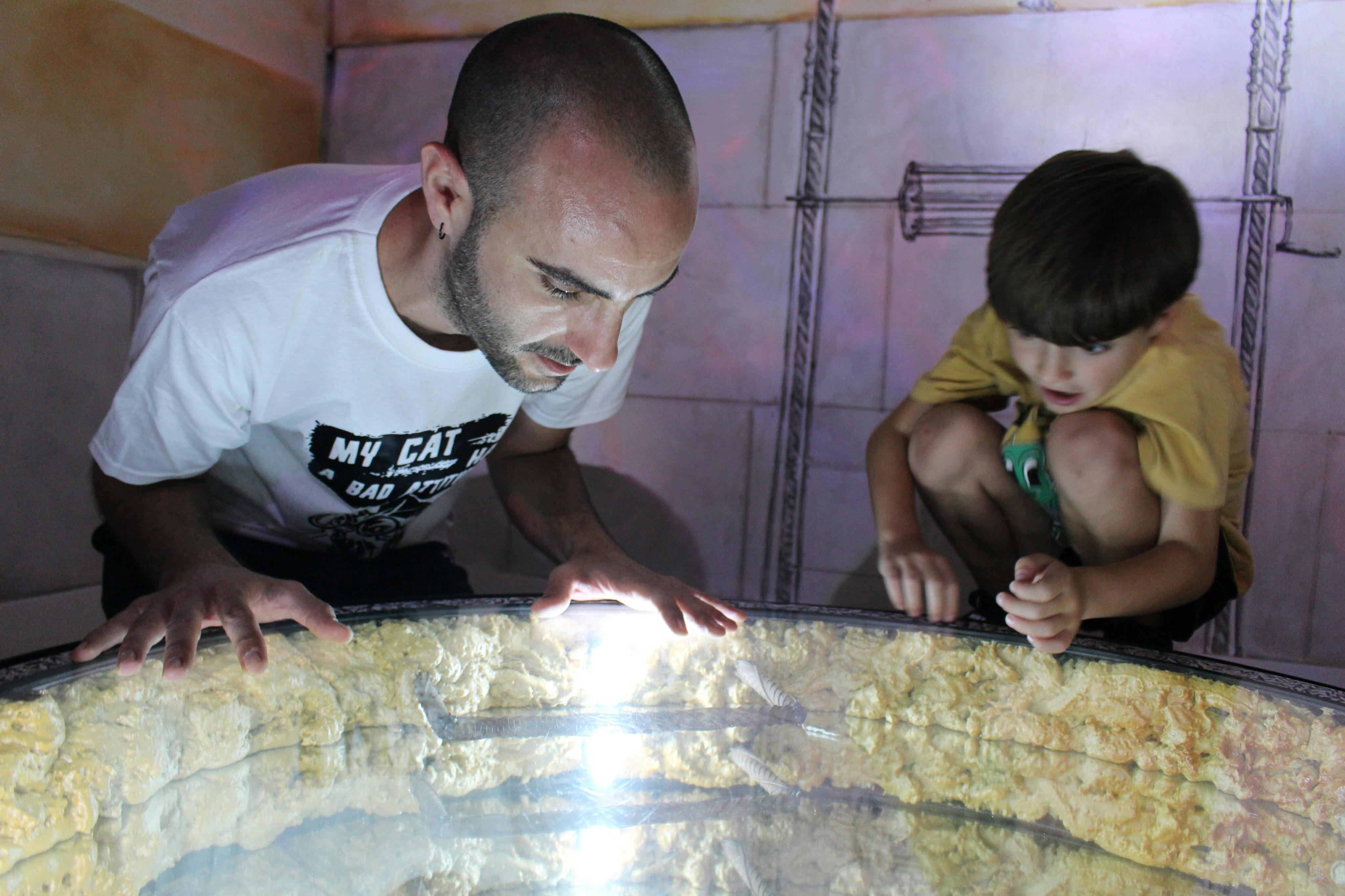 一个男人和一个男孩仔细检查了一个被照亮的表面，似乎对玻璃覆盖的显示器内部的内容很感兴趣。