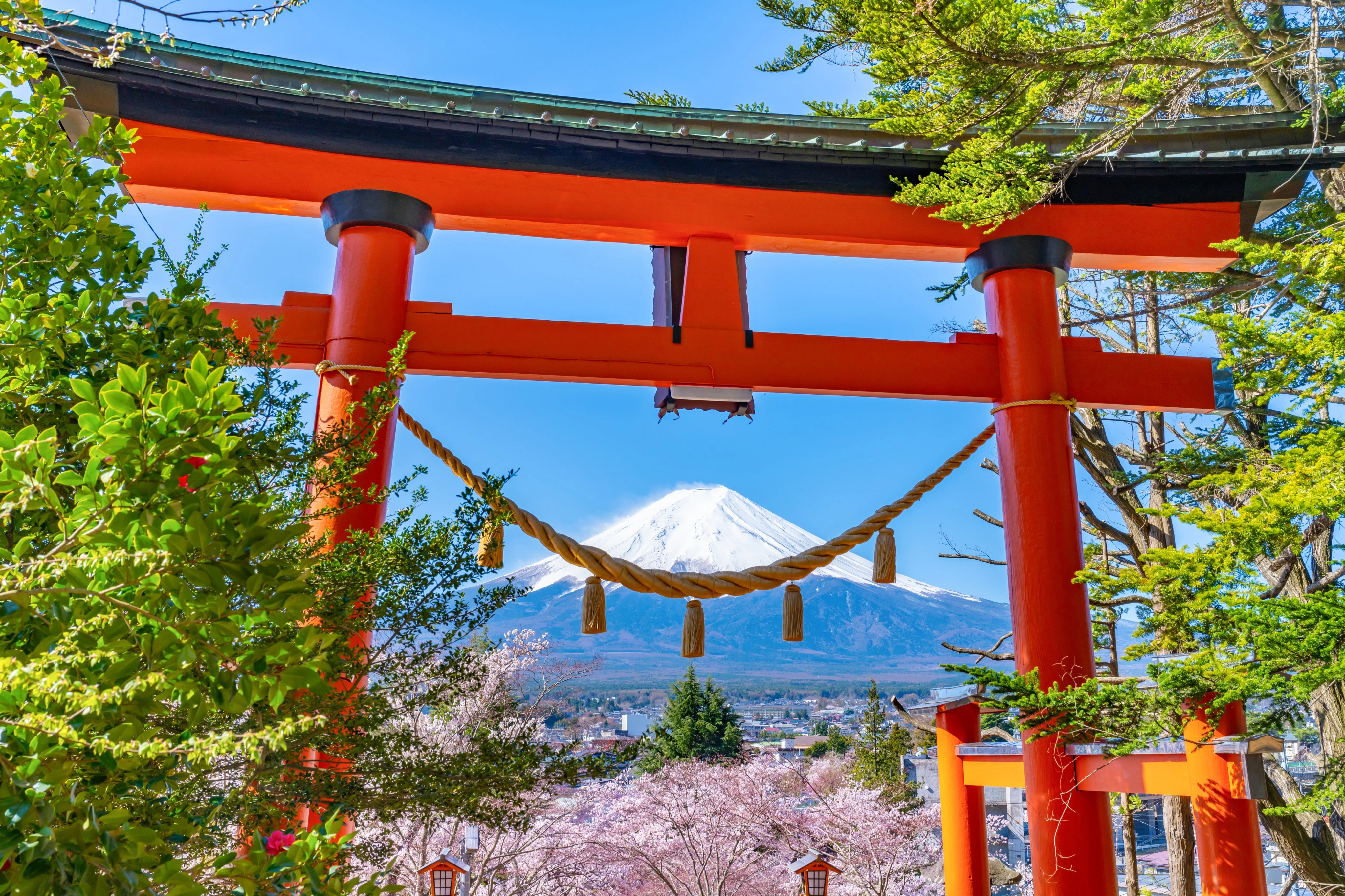 Mount Fuji: Guided Day Tour from Tokyo