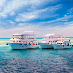 Giftun Island: Guided Snorkeling Tour from Hurghada + Lunch & Drinks 4