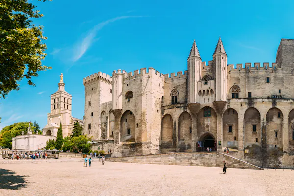 Palace of the Popes & Pont d’Avignon: Entry Ticket