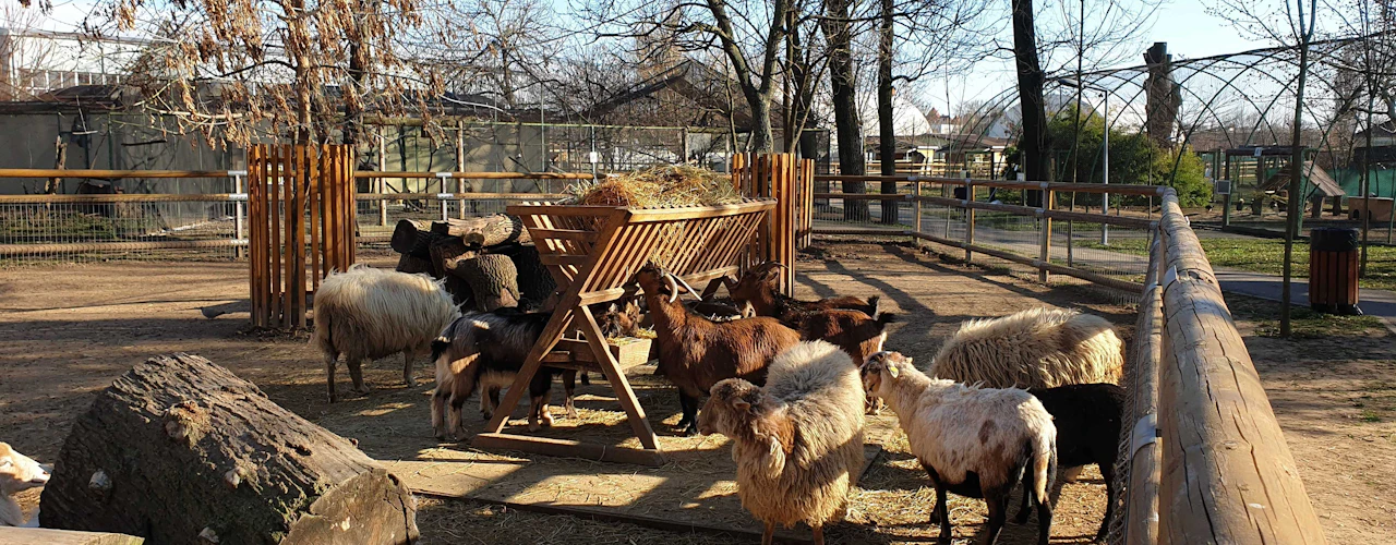 Zoo di Oradea: Meet & Greet