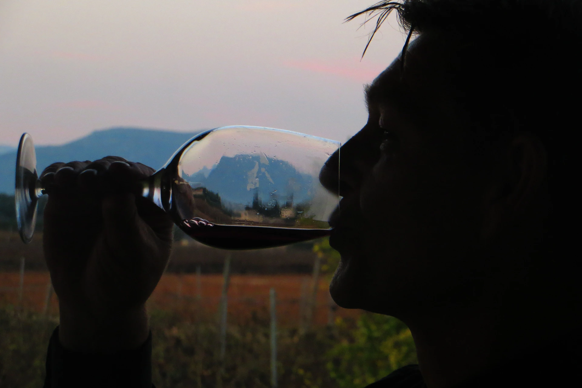 Joe at a wine tasting