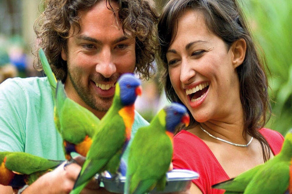 Currumbin Wildlife Sanctuary & TreeTop Challenge