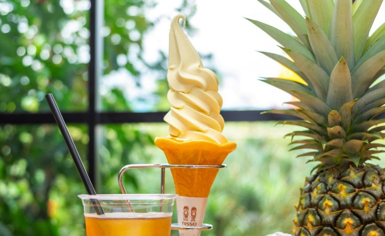Nago Pineapple Park: Admission Ticket - Photo 5