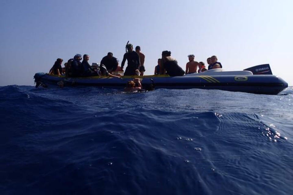 Ταχύπλοο Marsa Alam Dolphin House
