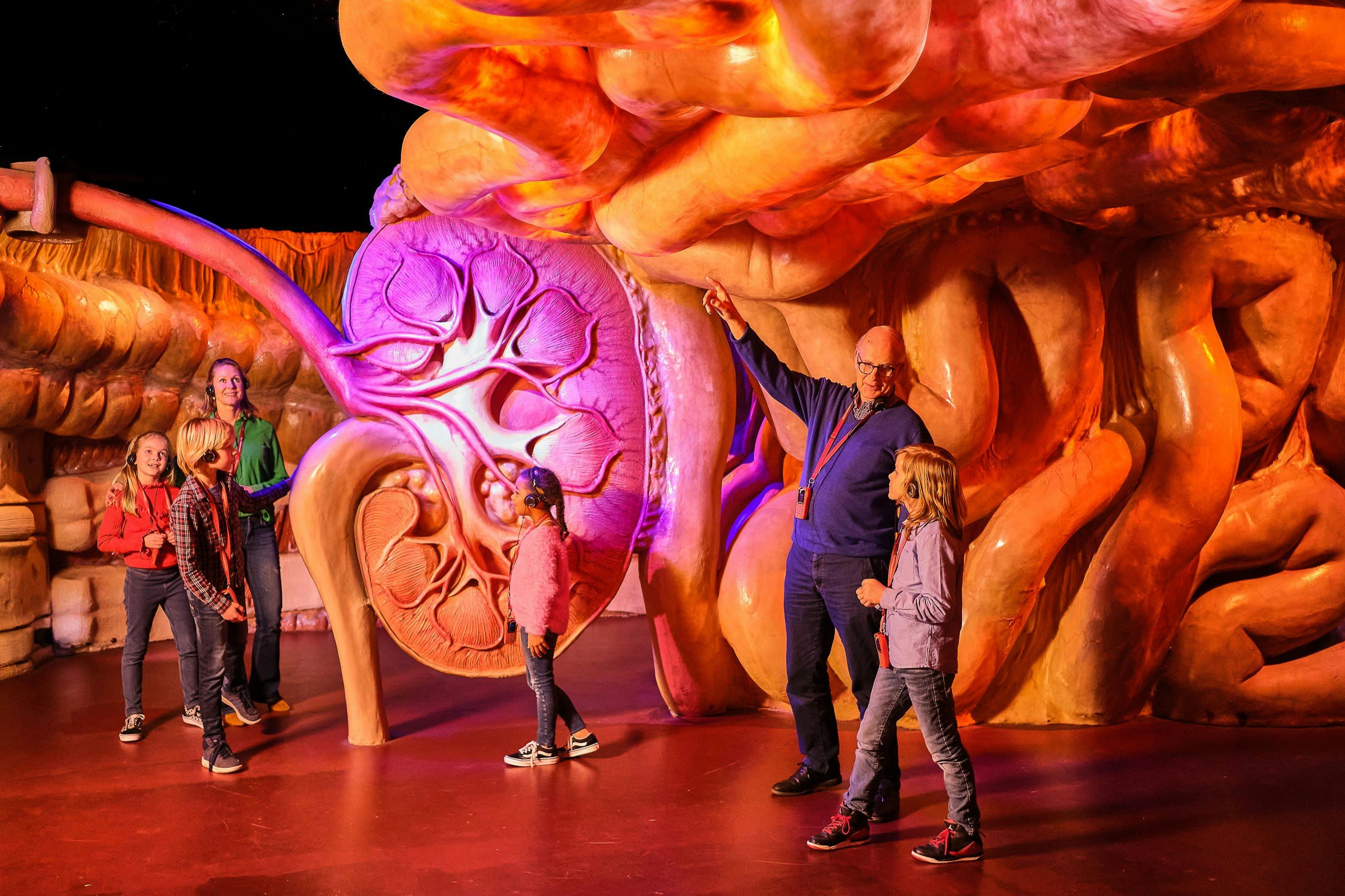 Besøgende i tarmene under deres &#39;rejse gennem mennesket&#39;