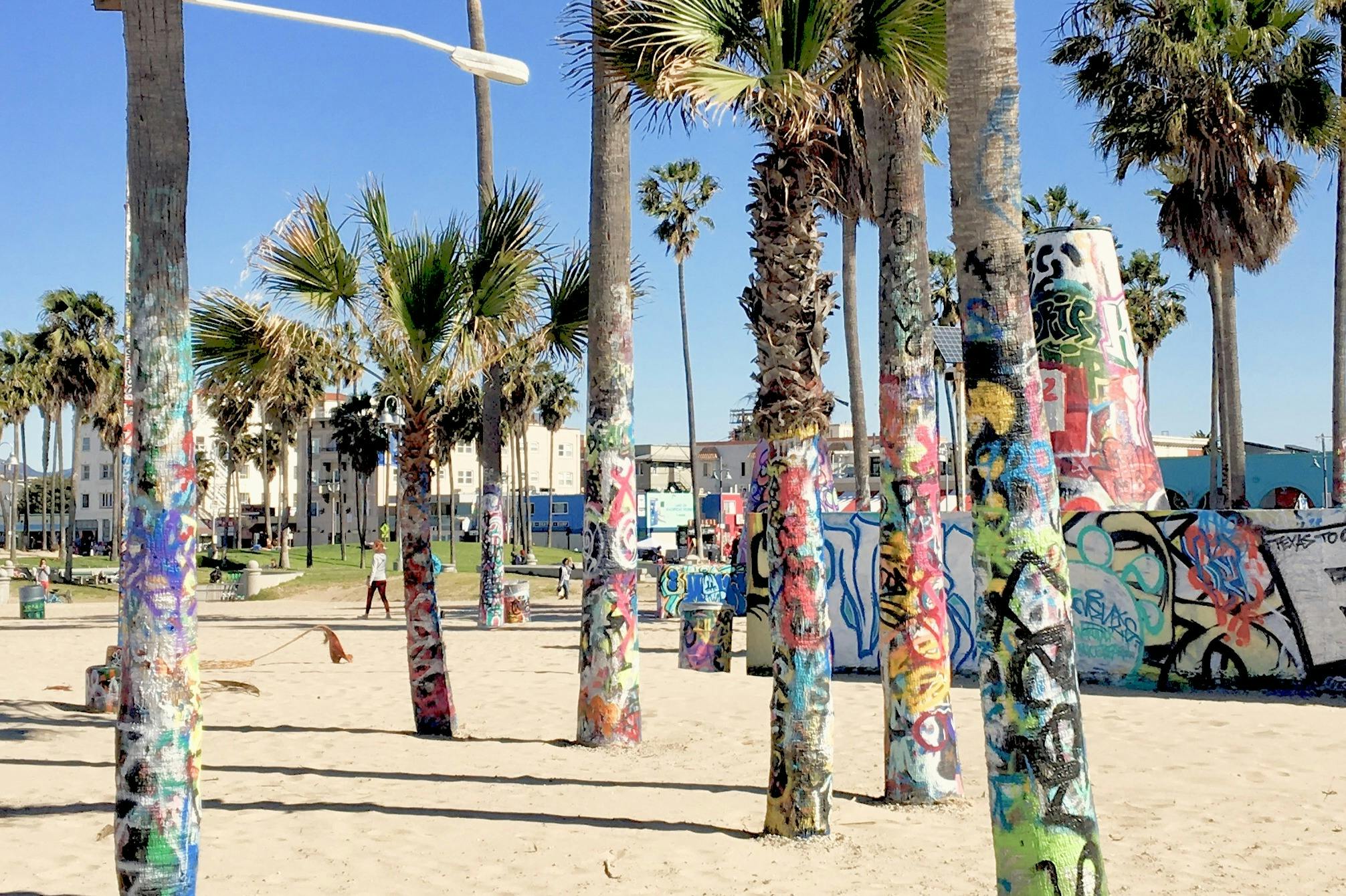 Arte e palme a Venice Beach