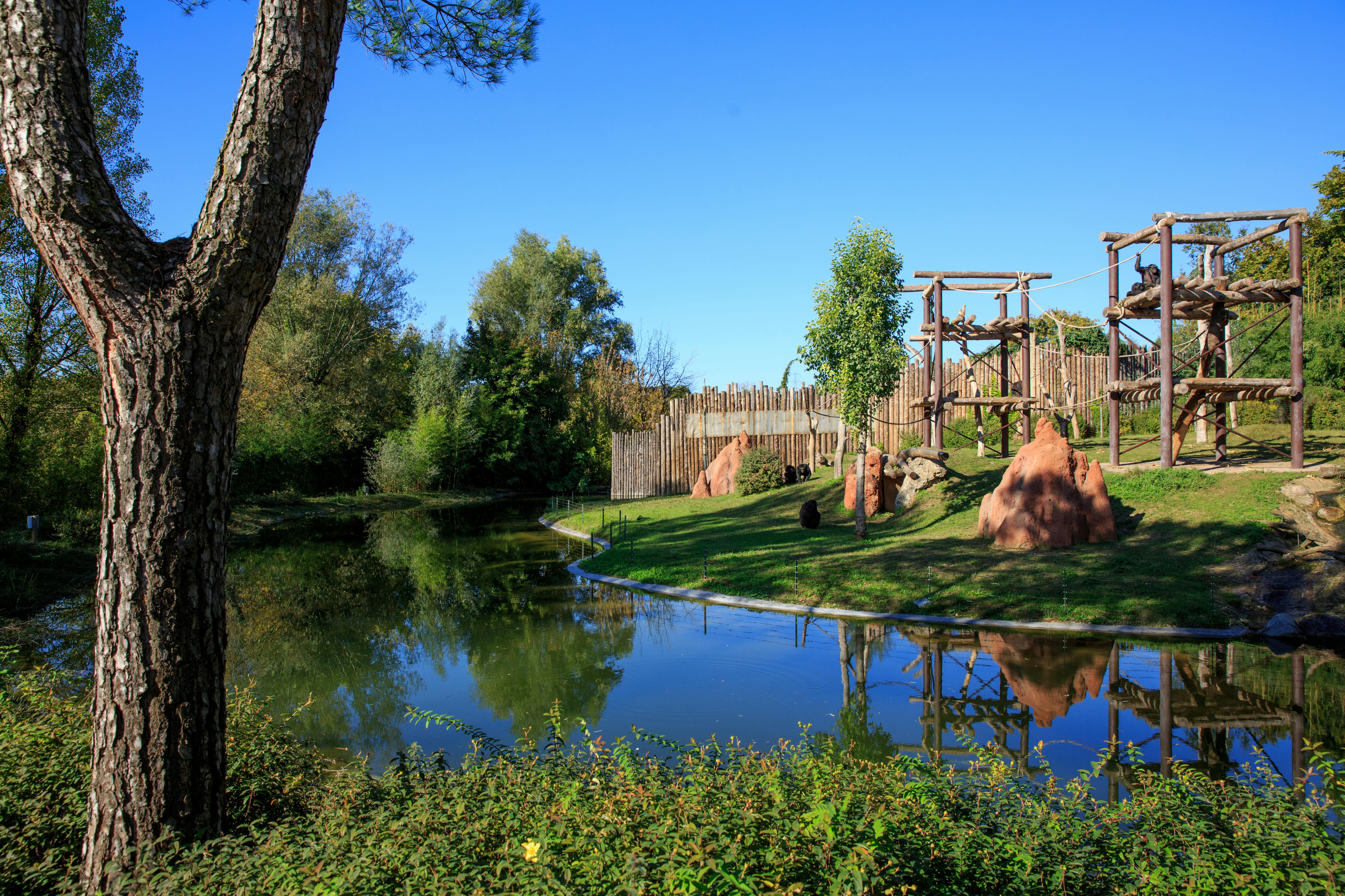 自然野生动物园