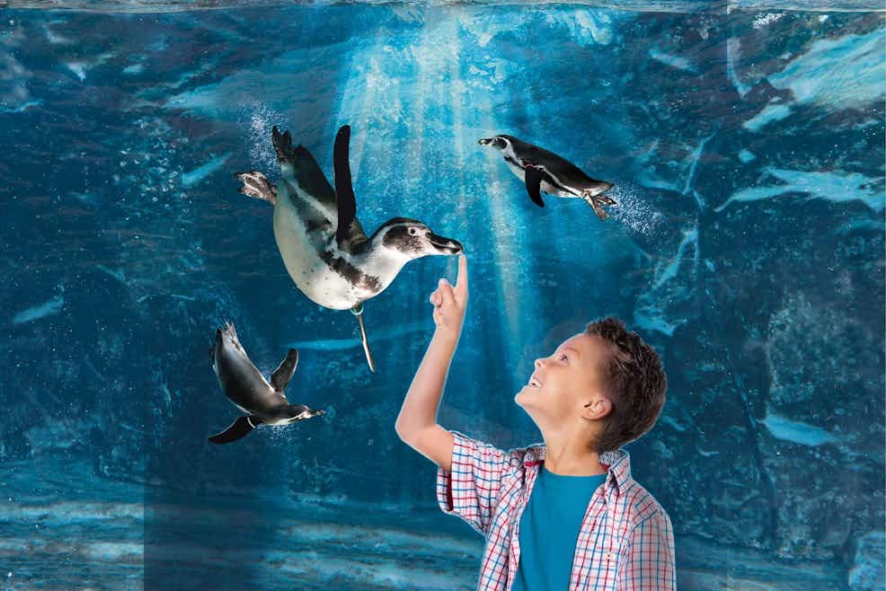 Acquario di Cattolica | Tiqets
