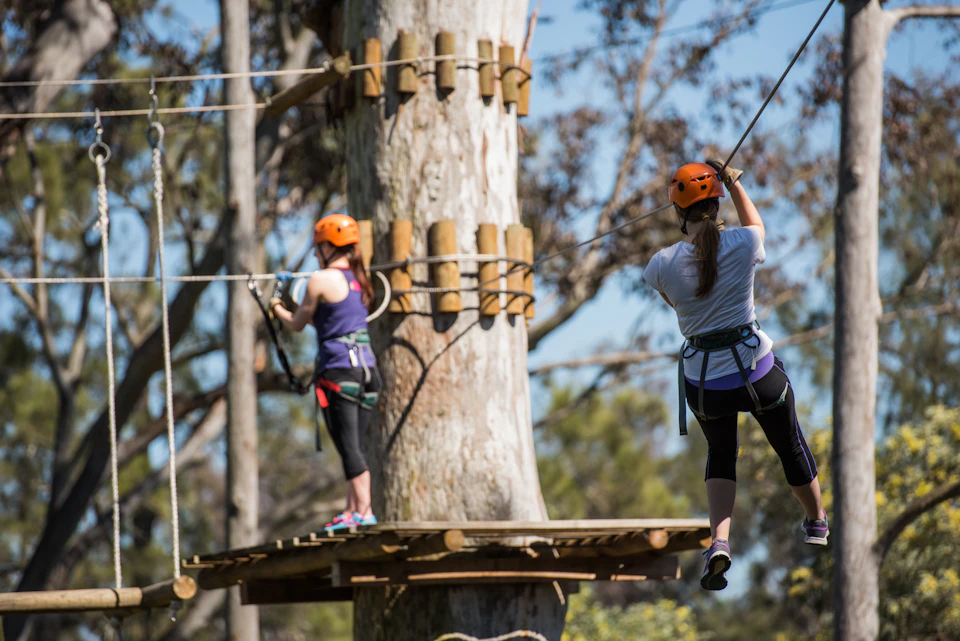 Two people in helmets and harnesses participate in an outdoor rope adventure course, attached to a safety line near a large tree.