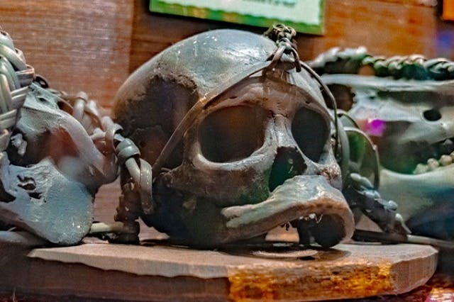 Ripley's Aquarium of Myrtle Beach + 2 Additional Attractions Combo