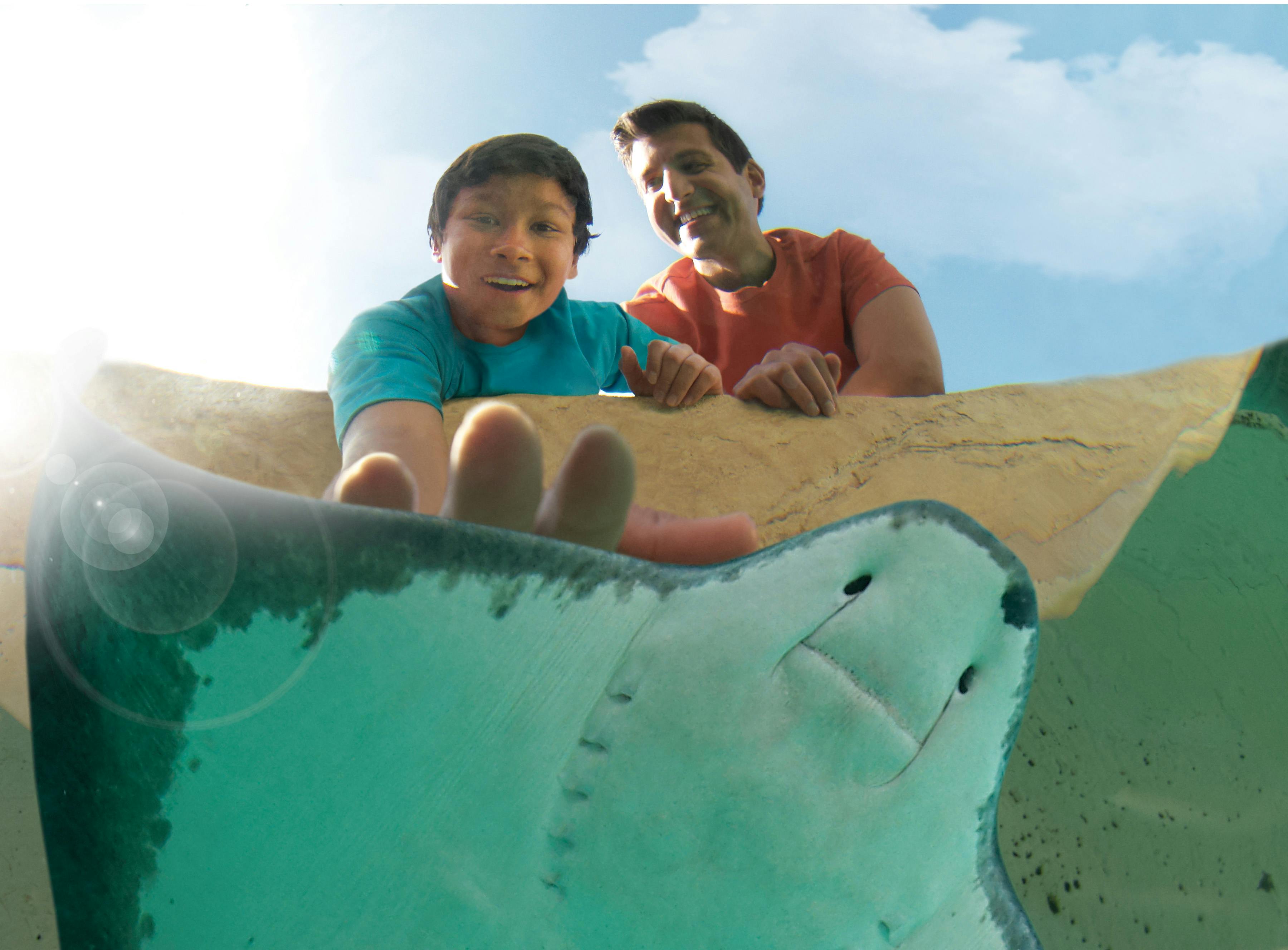 Δύο άνθρωποι χαμογελούν καθώς φτάνουν να αγγίξουν ένα σαλάχι σε μια πισίνα ενυδρείου, με φόντο τον γαλάζιο ουρανό.