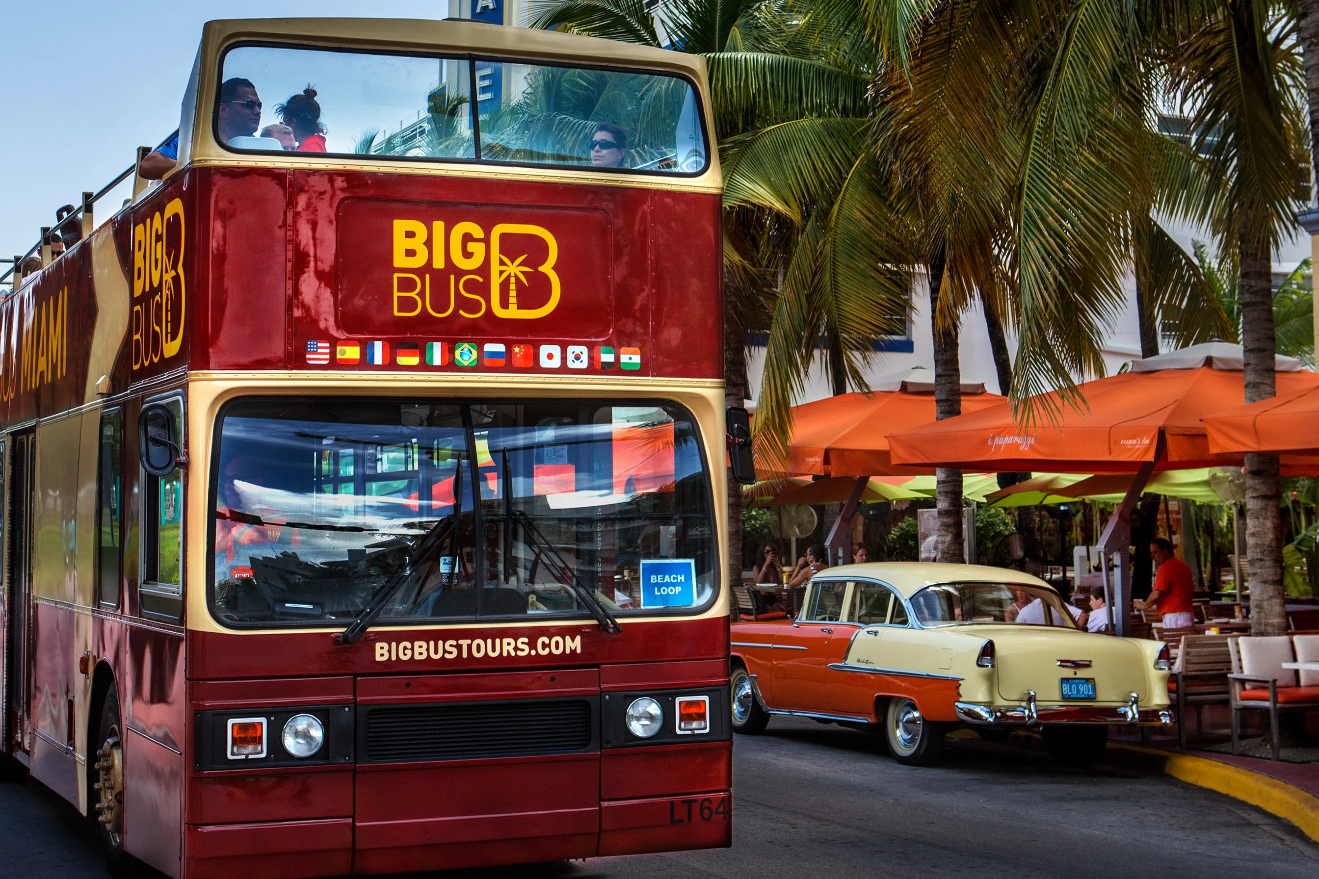 Miami: Panoramic City Tour + Yacht Cruise