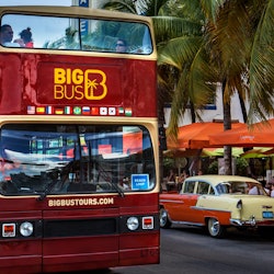 Tours & Sightseeing | Miami Bus Tours things to do in Miami Beach