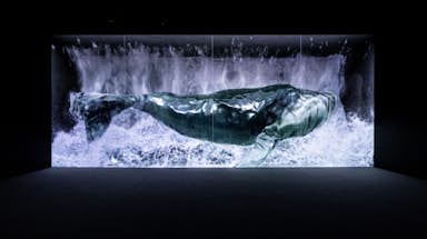 1 choses à faire à <City 82073> : Arte Museum Las Vegas