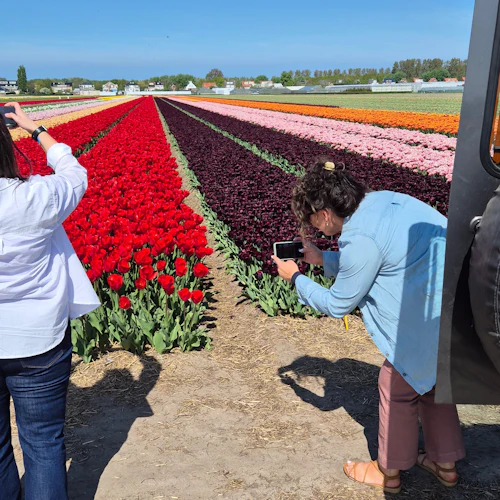 Amesterdão: Visita guiada Land Rover às Tulipas - Photo 8