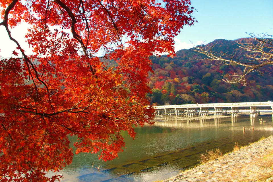 Vibrant red maple leaves hang over a calm river with a bridge and multicolored forested hills in the background.