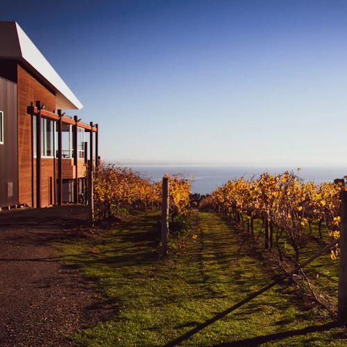 Ao redor da baía: Day Trip de Melbourne com Degustações de Comida & Vinho - Photo 9