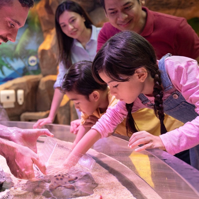 SEA LIFE Malaysia Tickets | Tiqets