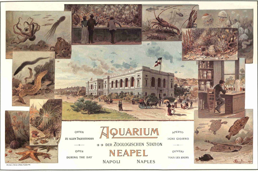 Naples Aquarium Tickets