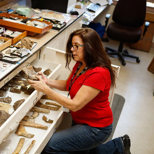 Natural History Museum of Los Angeles County: Guided Insider Tour - Photo 4